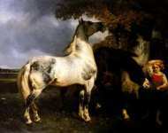 Chevau Horses